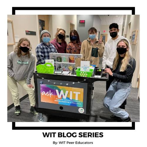 photo of wit peer educators with wit cart, below reads wit blog series by the wit peer educators